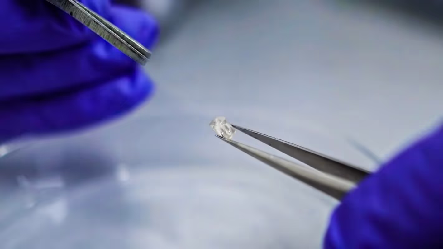 A rough diamond held in tweezers by gloved hands.