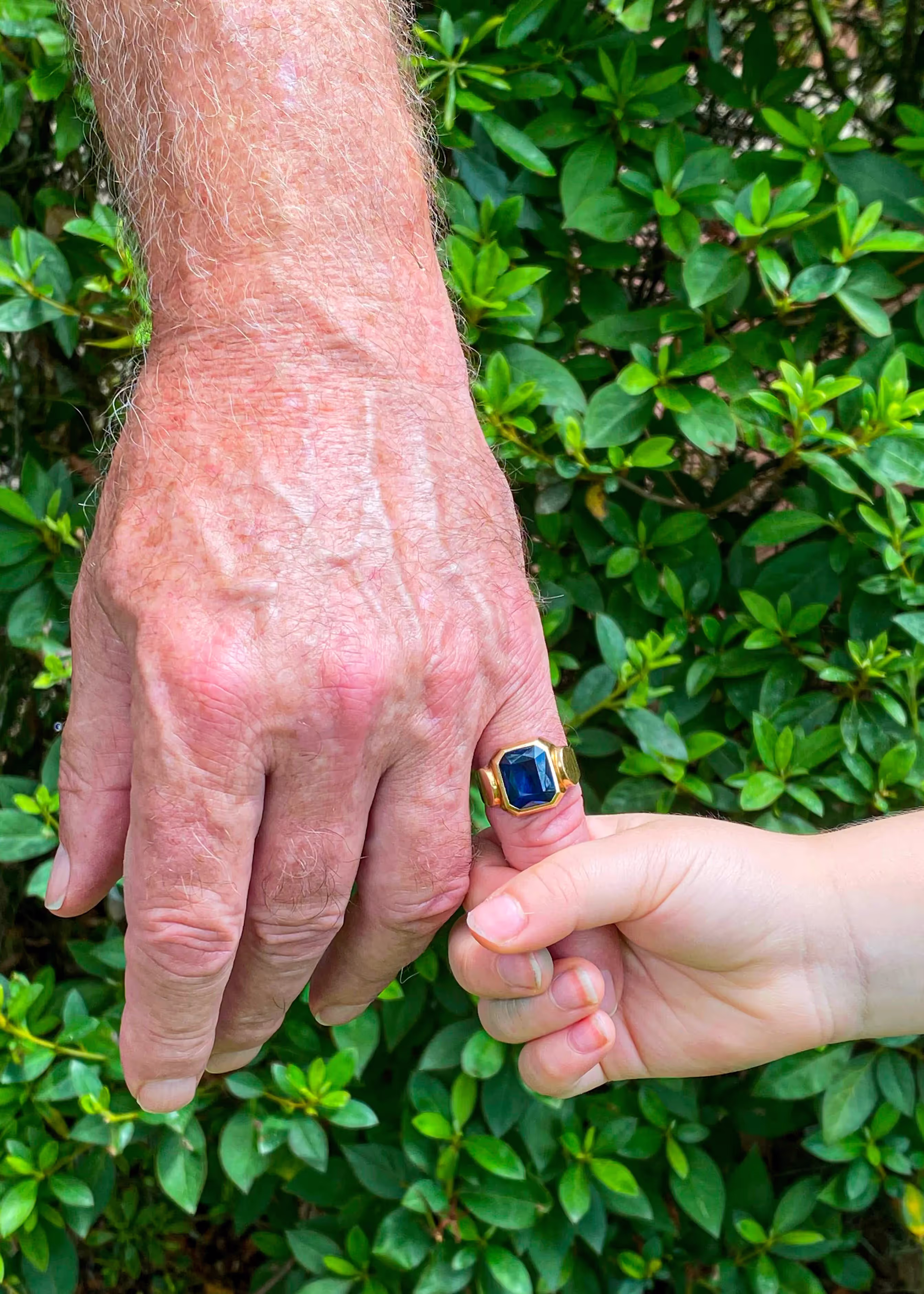 Close-up of an elderly hand with a gold ring holding the thumb of a child's hand in front of green foliage.