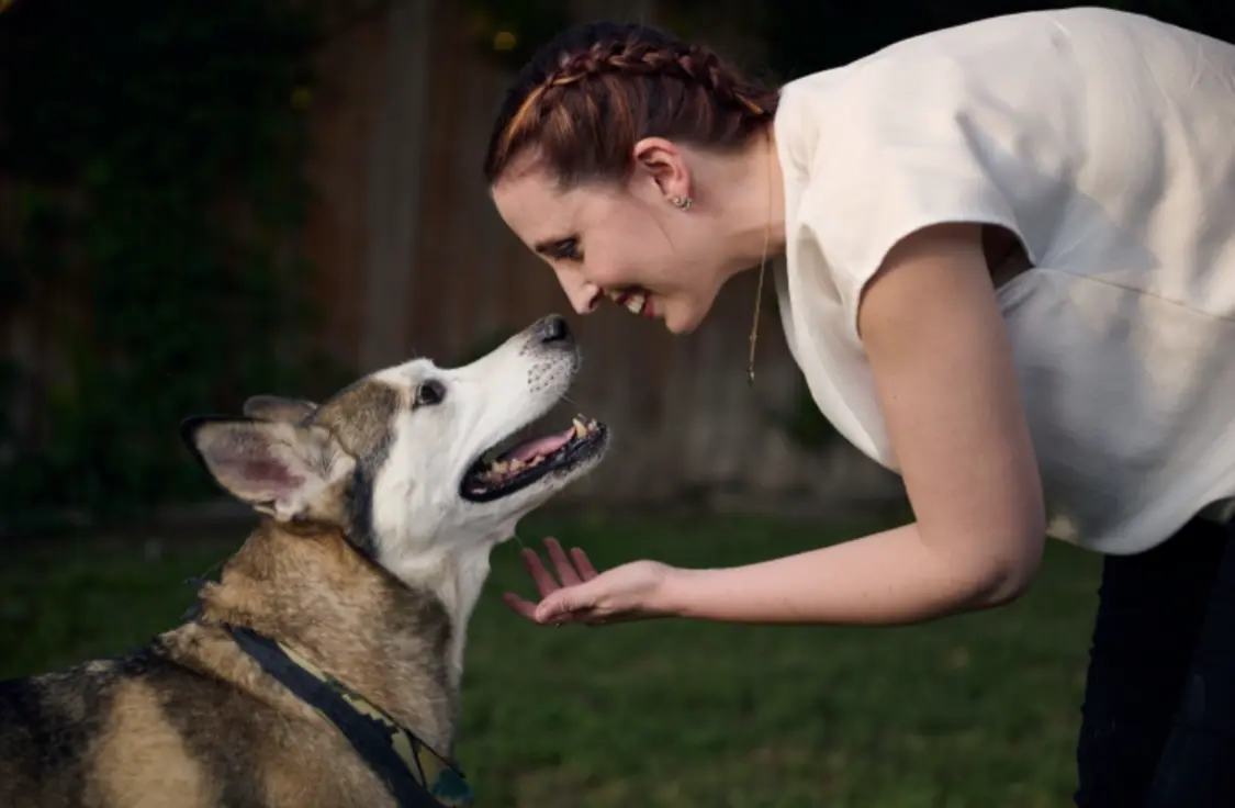 smiling woman nose to nose with Alaskan-Malamute dog