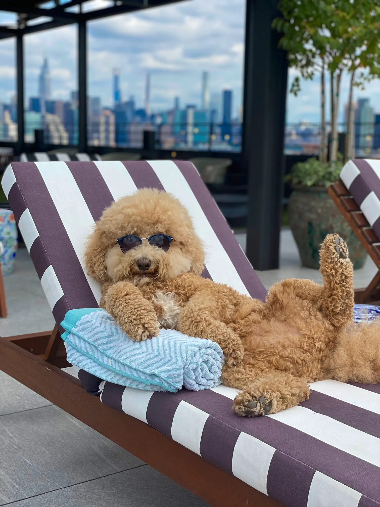 Sawyer lounging on a striped deck chair in sunglasses with the New York City skyline behind her