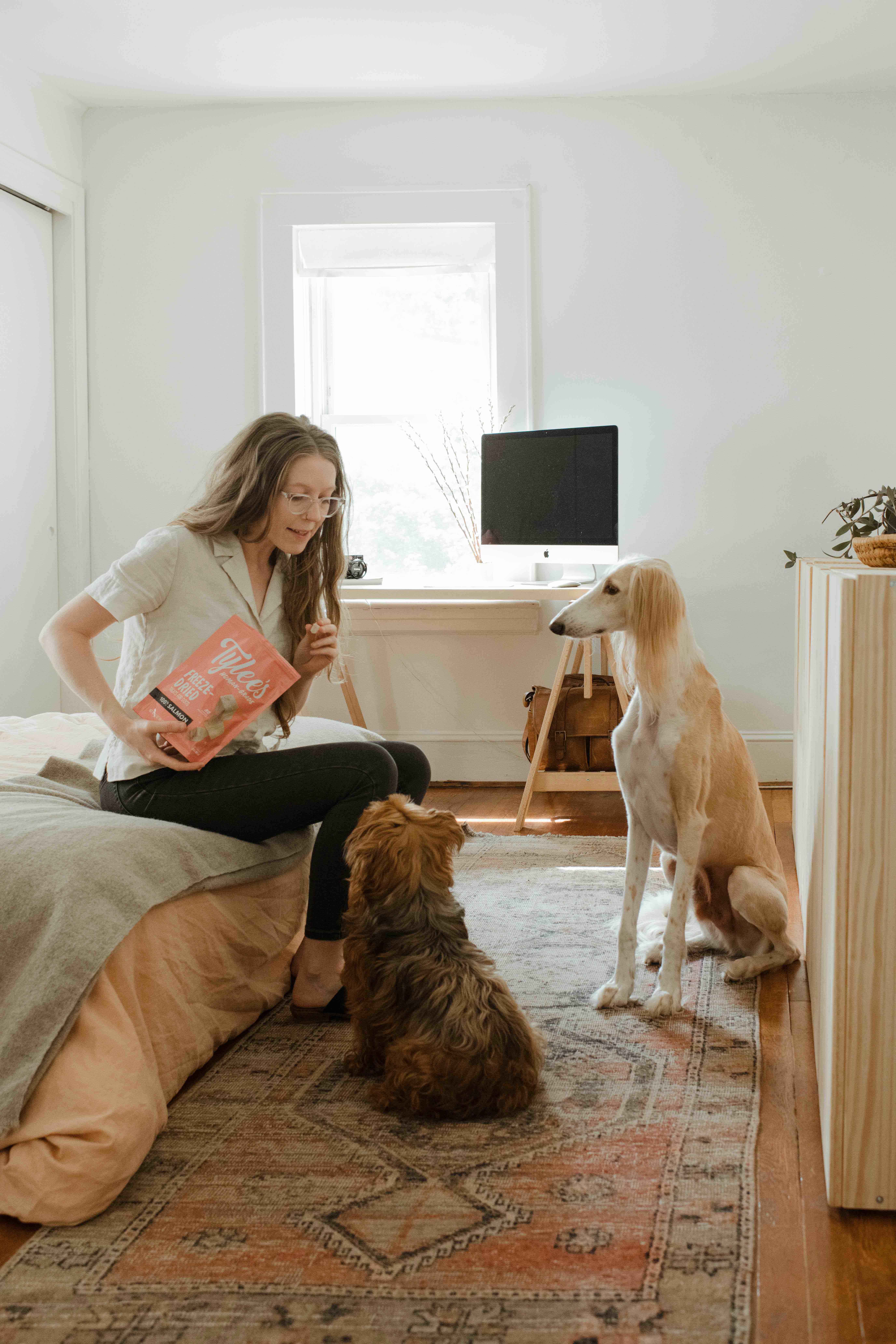 Woman reading a book on her bed with her two dogs nearby
