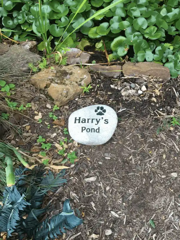 Dog memorial stone.
