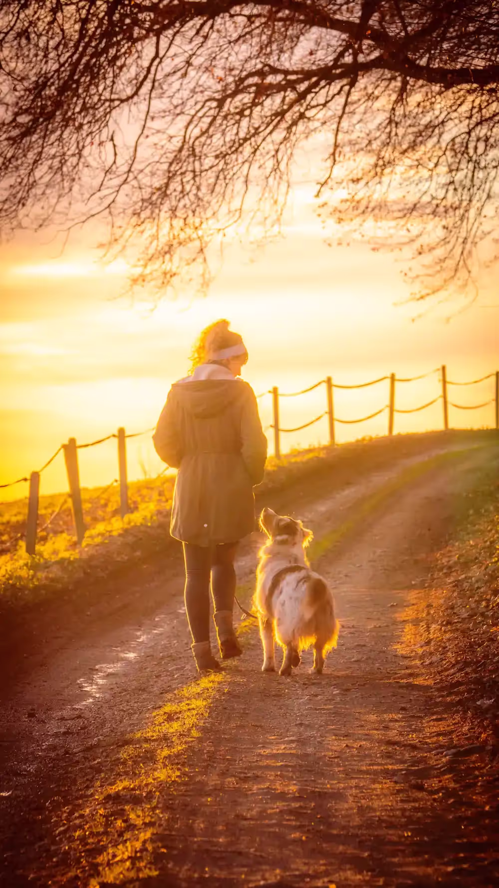 A woman and her dog taking a walk while the sun sets.